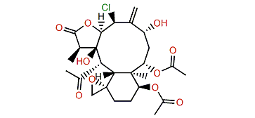 Fragilide V